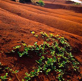 育碧声明《刺客信条：影》将充分尊重日本文化